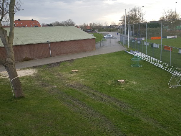 dakterras_bomen_gerooid_4